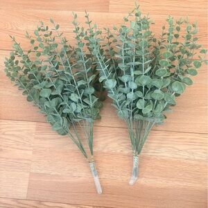 Green Eucalyptus Stems